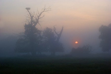 04_V krajině 28